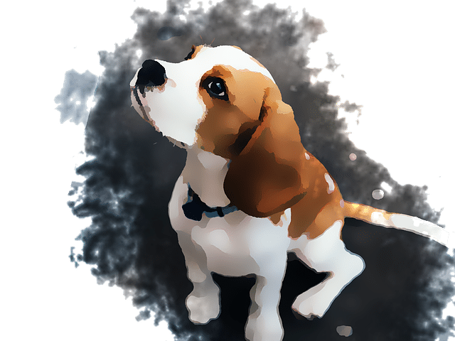 castanhos do Beagle