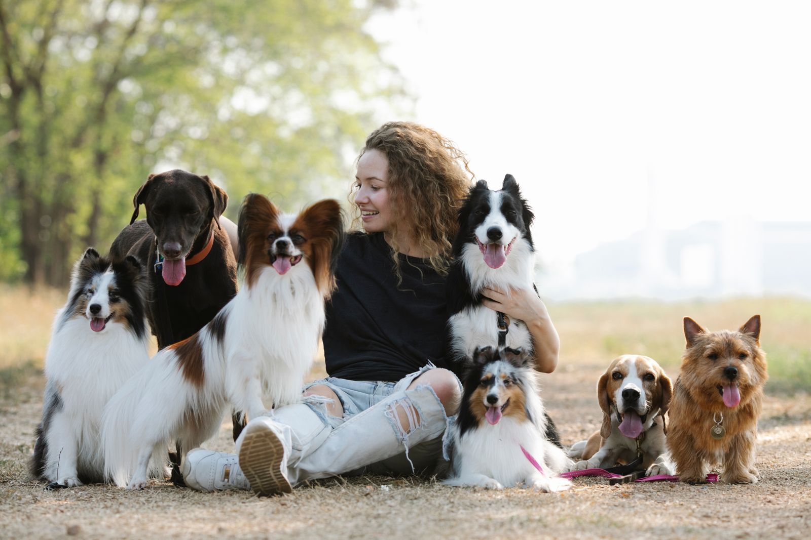 Tutora acariciando cães de raças diferentes reunidos ao seu redor